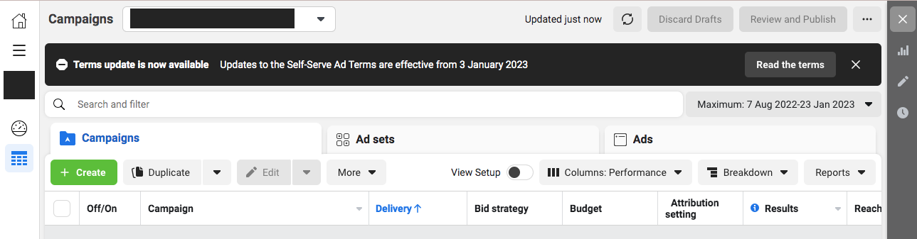 Meta Ads Manger